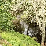 Lugar Del Rio Country house Couzadoiro