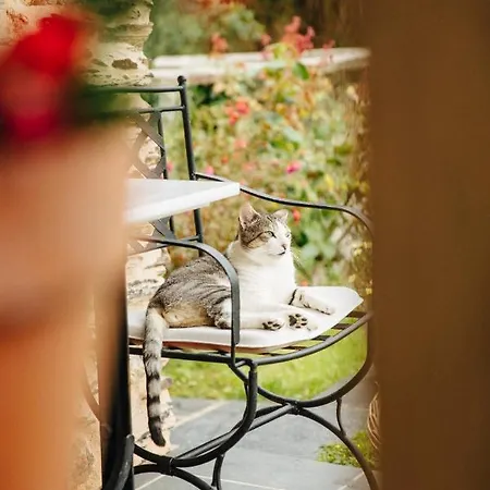 Landhaus Lugar Del Rio Couzadoiro