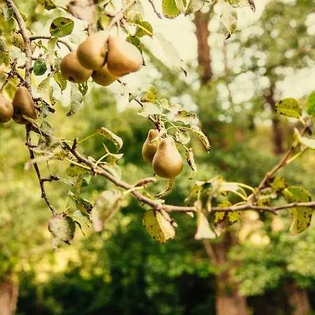 Lugar Del Rio * Couzadoiro