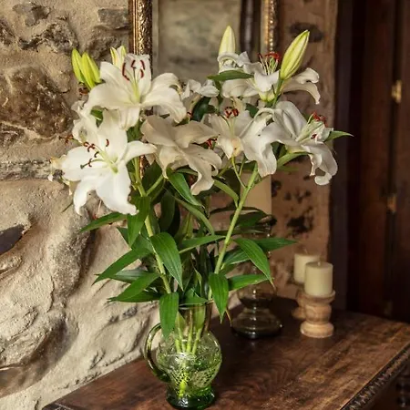 Lugar Del Rio Country house Couzadoiro