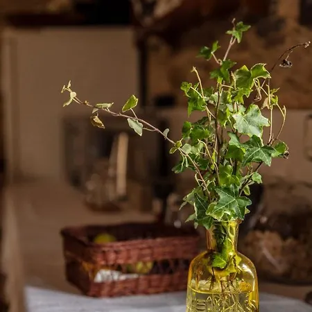 Landhaus Lugar Del Rio Couzadoiro